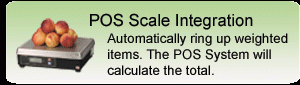POS-Scale-Integration-SintelSystems